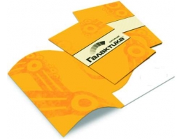 Pasta com Bolsa - 1.000 PASTA PAPEL C/ BOLSA 30x45 CM PAPEL COUCHÊ 250GR. COLORIDO FRENTE E VERSO - 4x4 CORES